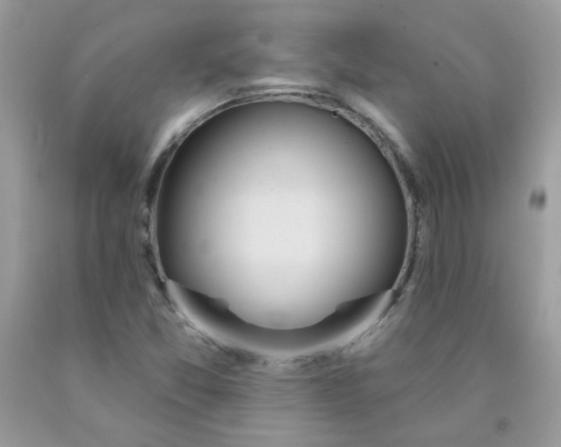 X0000090421357200707272101