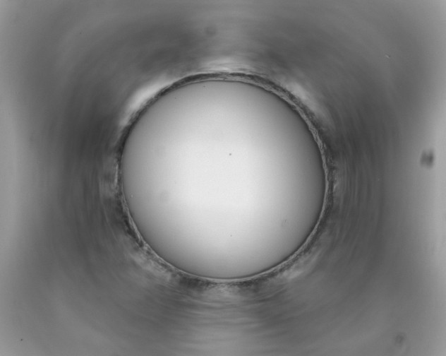 X0000090421358200707272101