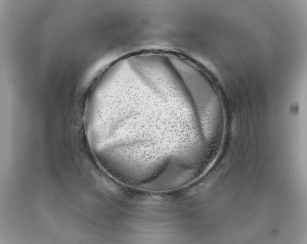 X0000090421359200707272101