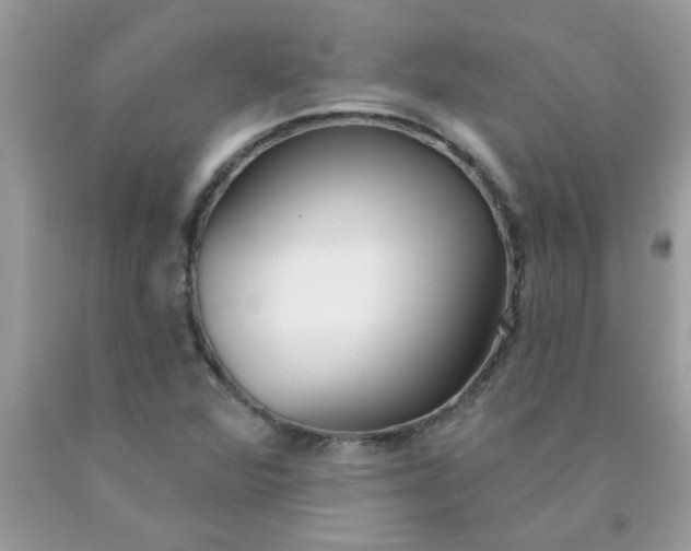 X0000090421360200707272101