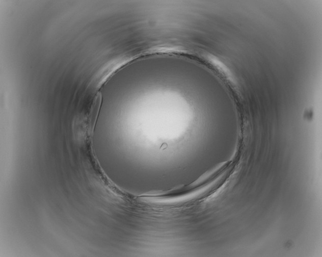 X0000090421361200707272101