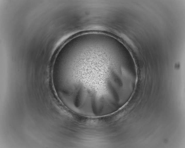 X0000090421364200707272101