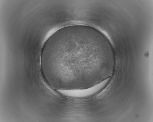 X0000090421365200707272101