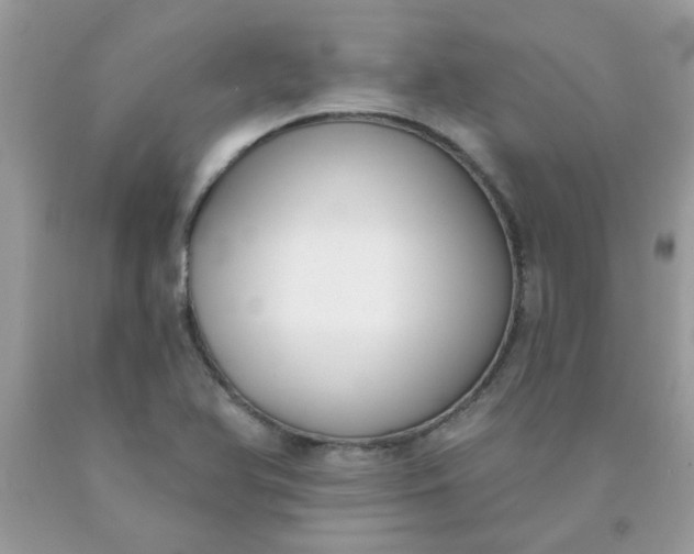 X0000090421366200707272101