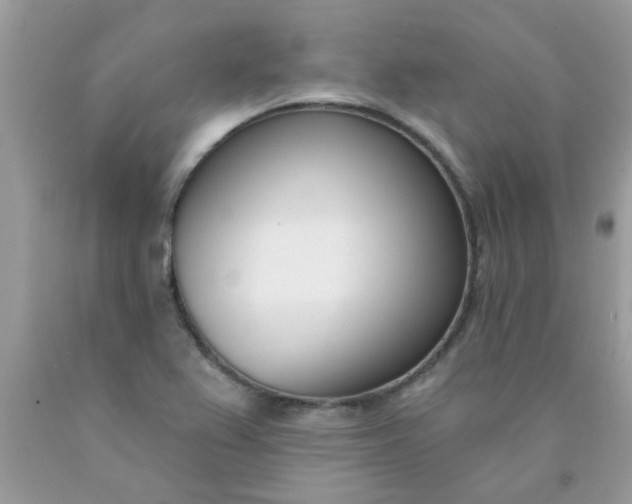 X0000090421367200707272101