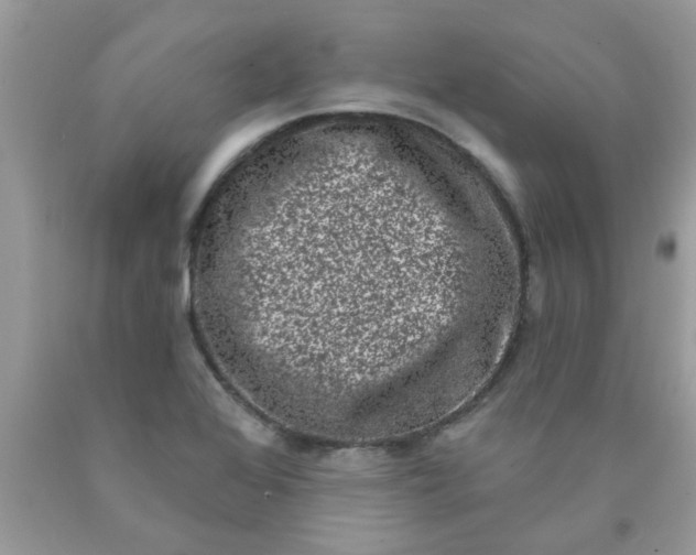 X0000090421368200707272101