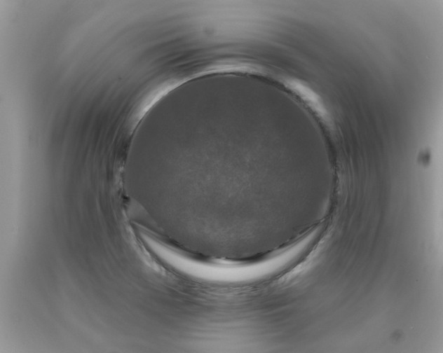 X0000090421369200707272101