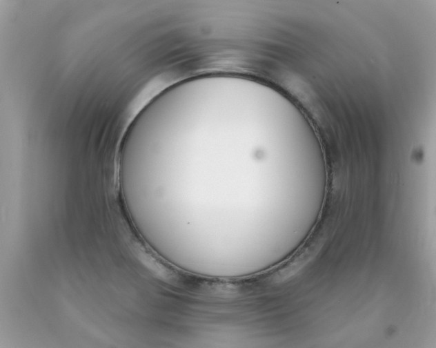 X0000090421370200707272101