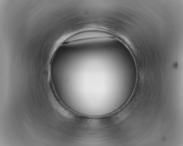 X0000090421371200707272101