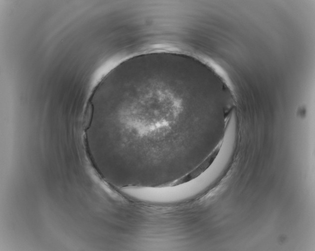 X0000090421373200707272101