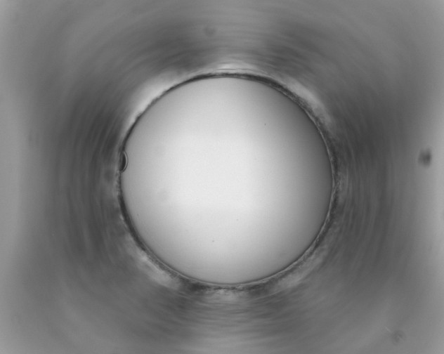 X0000090421374200707272101