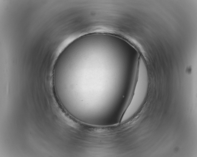 X0000090421375200707272101