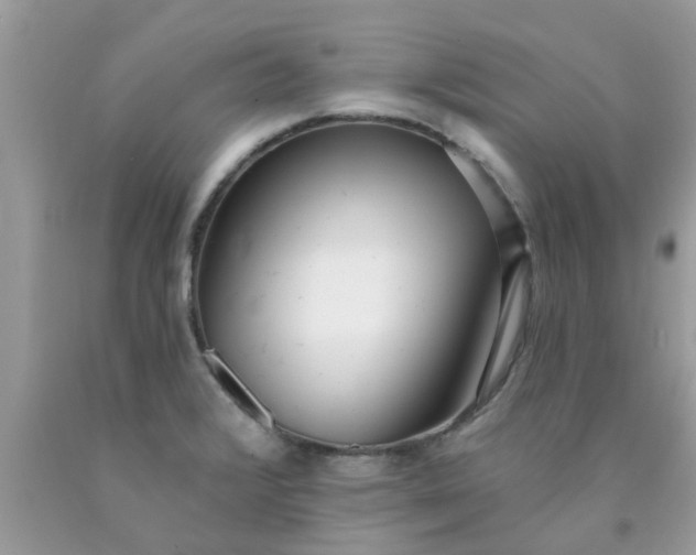 X0000090421376200707272101