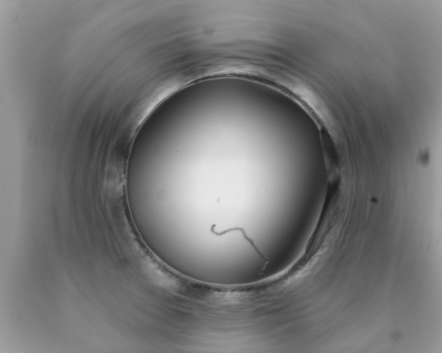 X0000090421377200707272101