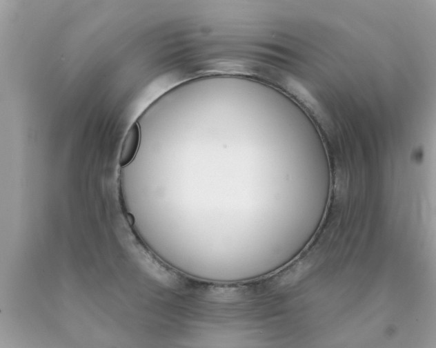 X0000090421378200707272101