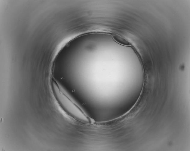 X0000090421379200707272101