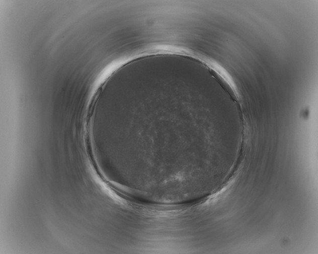 X0000090421381200707272101