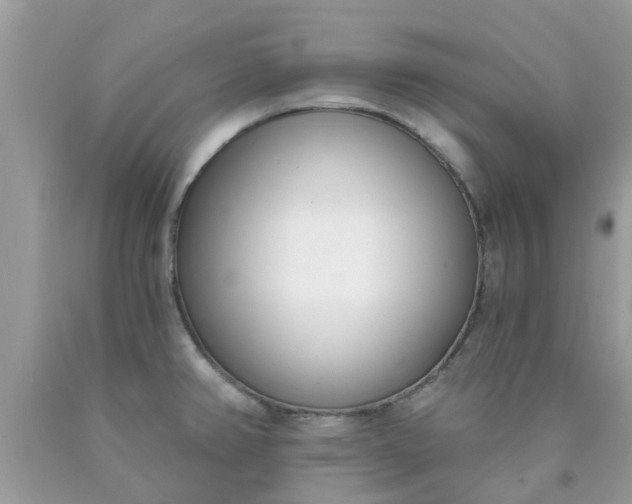 X0000090421382200707272101