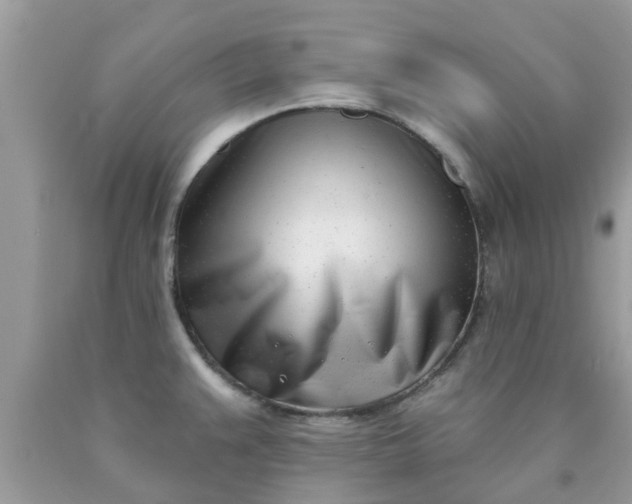 X0000090421383200707272101