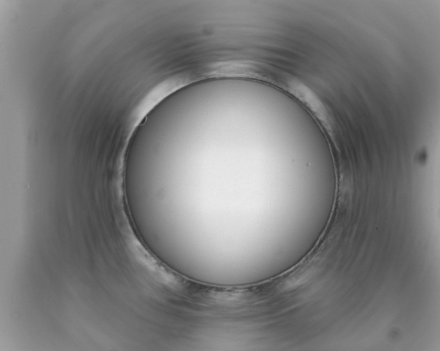 X0000090421386200707272101