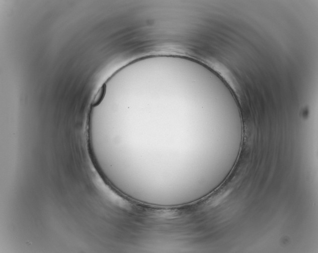 X0000090421387200707272101