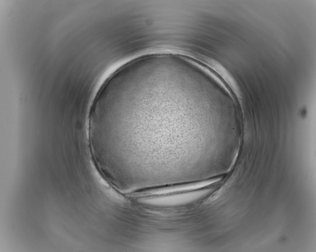 X0000090421388200707272101