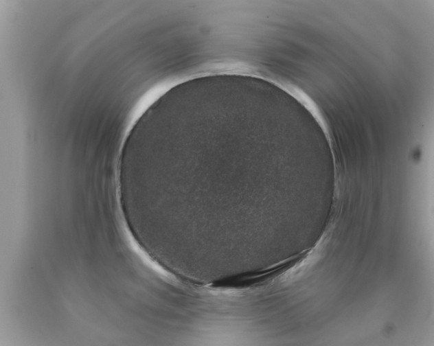 X0000090421389200707272101