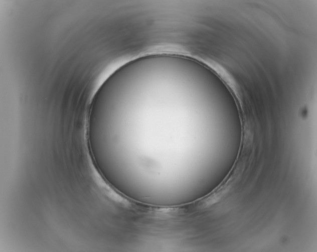 X0000090421390200707272101