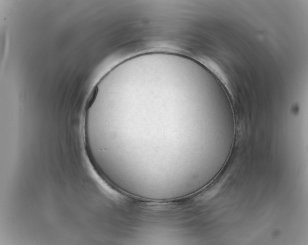 X0000090421391200707272101