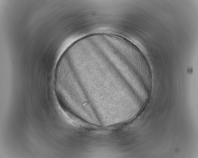 X0000090421392200707272101