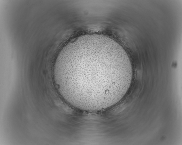 X0000090421393200707272100