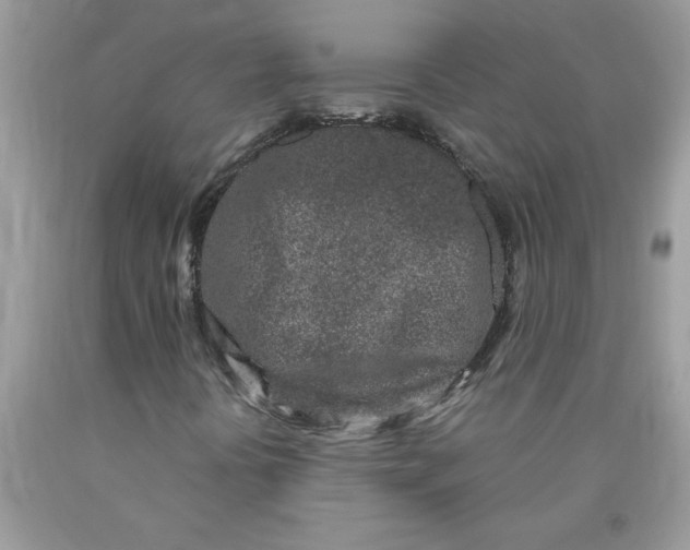 X0000090421394200707272100