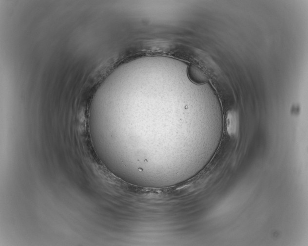 X0000090421395200707272100