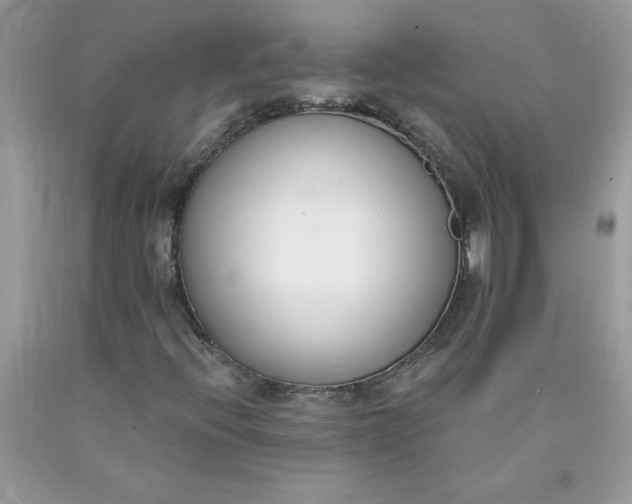 X0000090421396200707272101