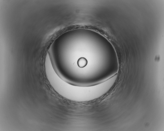 X0000090421398200707272101