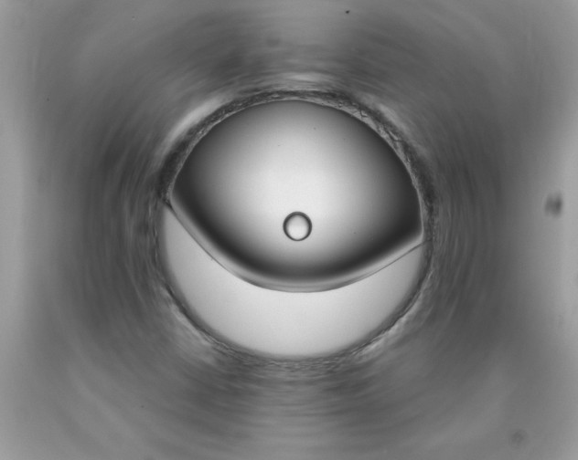 X0000090421402200707272101