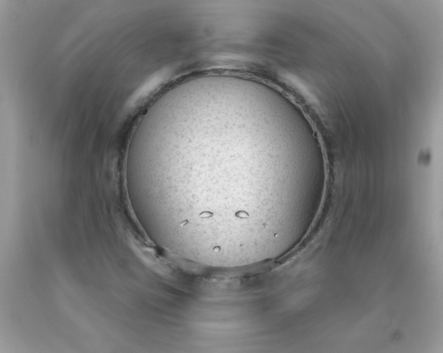 X0000090421403200707272101