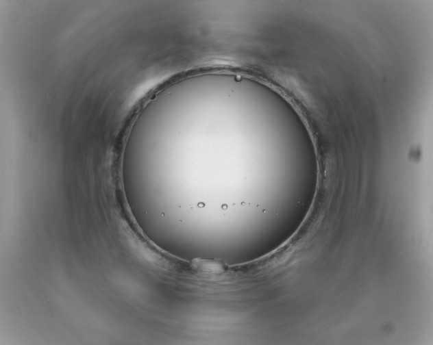 X0000090421404200707272101