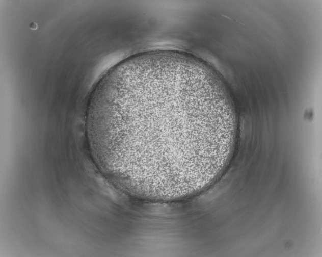 X0000090421405200707272101