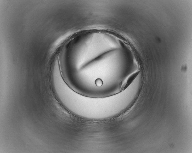 X0000090421406200707272101