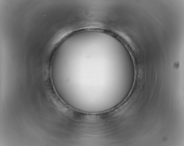 X0000090421407200707272101