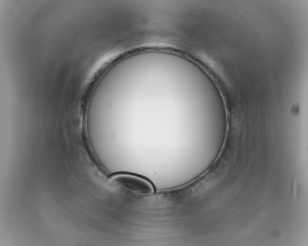 X0000090421408200707272101