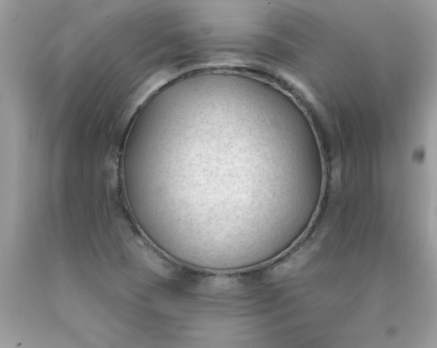 X0000090421409200707272101