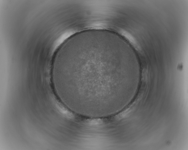 X0000090421410200707272101