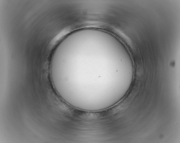 X0000090421411200707272101