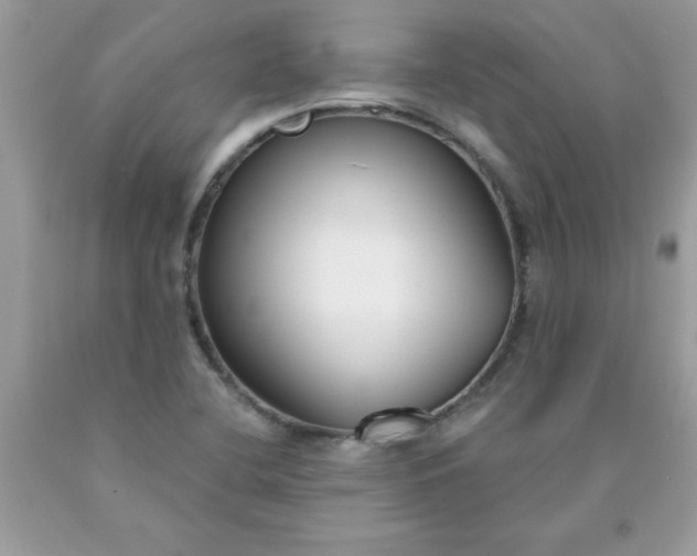 X0000090421412200707272101