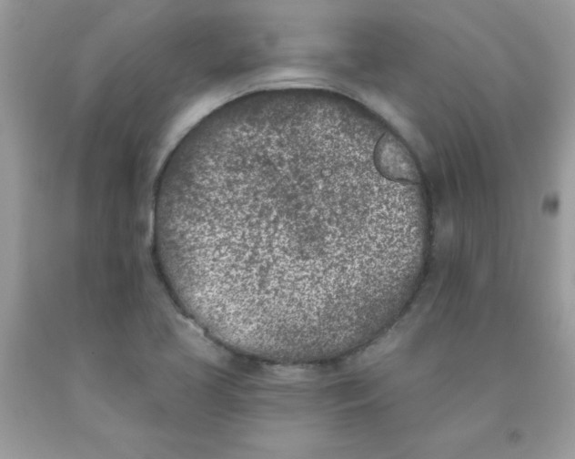 X0000090421413200707272101