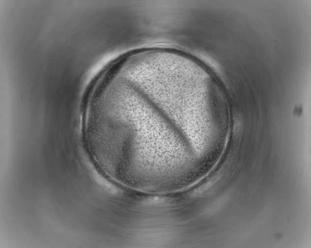 X0000090421414200707272101