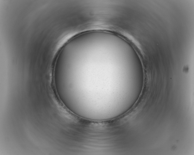 X0000090421415200707272101