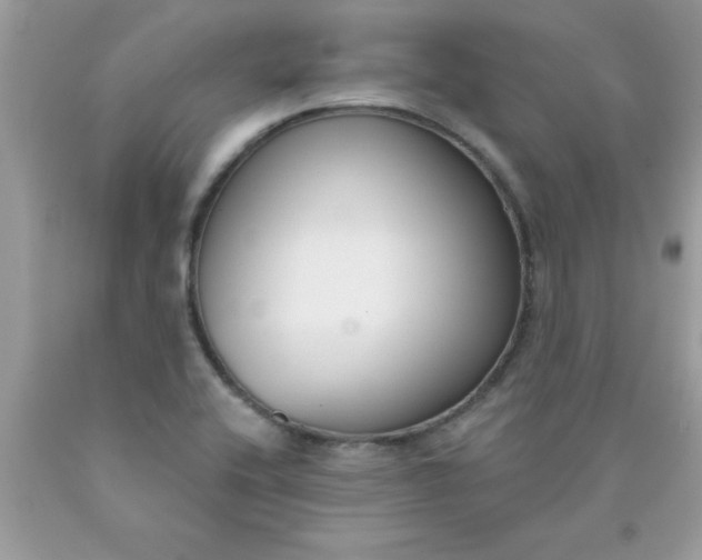 X0000090421416200707272101